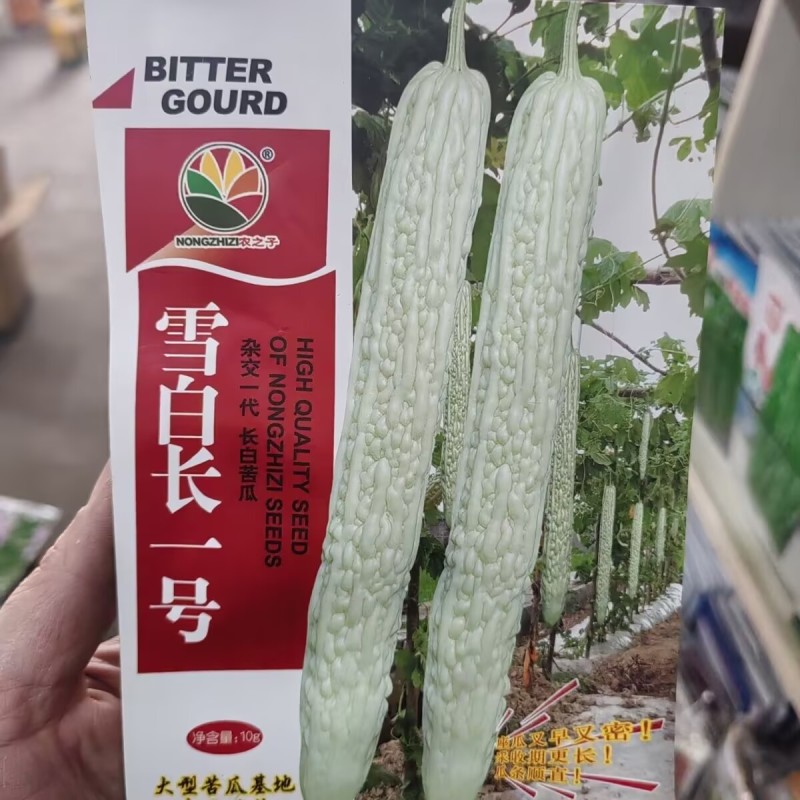 白雪长一号白苦瓜种子中早熟耐肥耐热抗病瓜长白条形