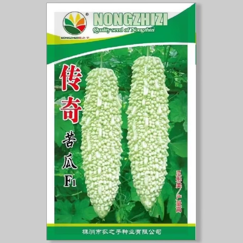 传奇苦瓜种子白珍珠苦瓜种子中早熟耐高温采收期长
