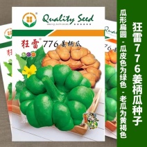 狂雷776姜柄瓜种子10克原装中早熟品种老瓜香甜味