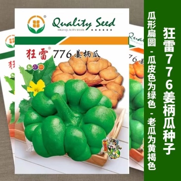 狂雷776姜柄瓜种子10克原装中早熟品种老瓜香甜味