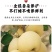 供应产地直发烟台黄金奶油富士苹果脆甜多汁团购礼盒一件代发
