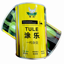 涂乐早熟耐寒西葫芦种子500粒越冬早春耐低温翠绿色西葫