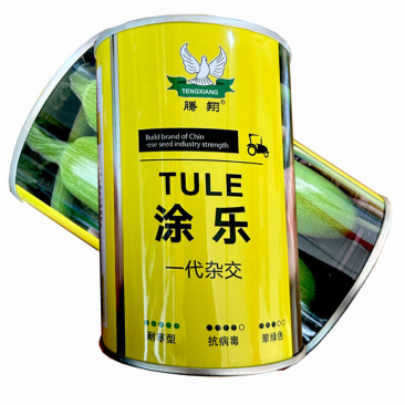 涂乐早熟耐寒西葫芦种子500粒越冬早春耐低温翠绿色西葫