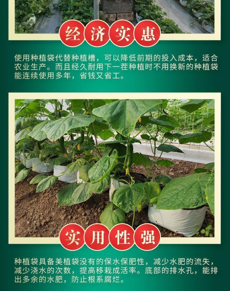 种植袋付老师团队无土栽培专用果蔬菜通用聚丙烯塑料种植袋