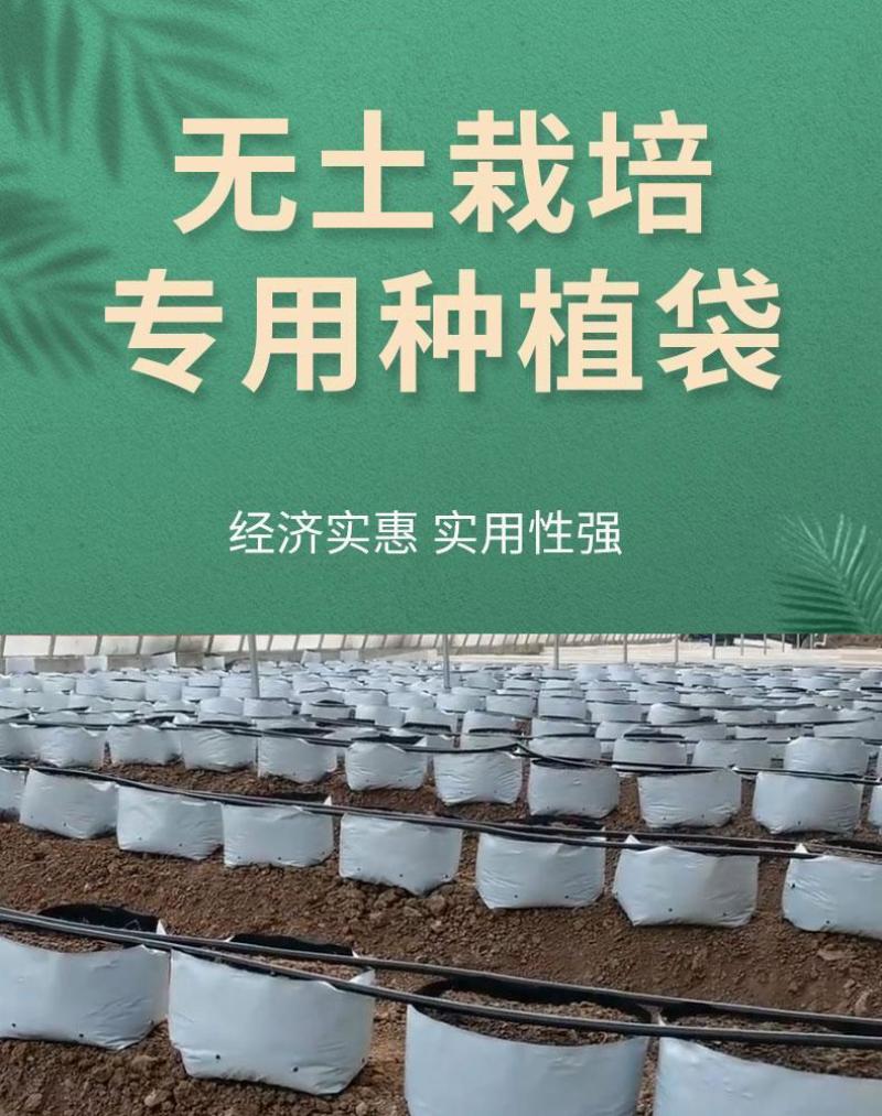 种植袋付老师团队无土栽培专用果蔬菜通用聚丙烯塑料种植袋