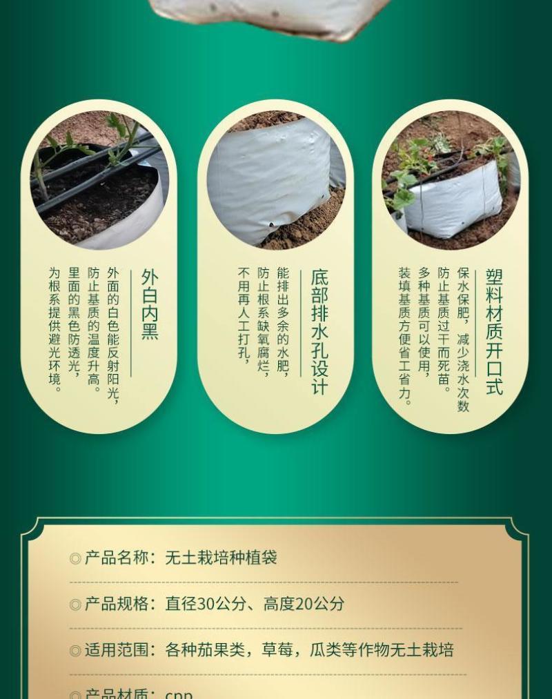 种植袋付老师团队无土栽培专用果蔬菜通用聚丙烯塑料种植袋