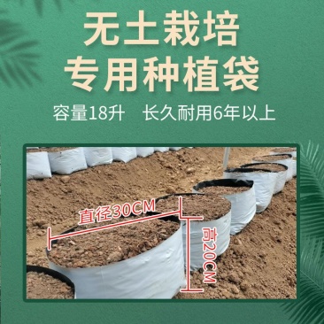 种植袋付老师团队无土栽培专用果蔬菜通用聚丙烯塑料种植袋