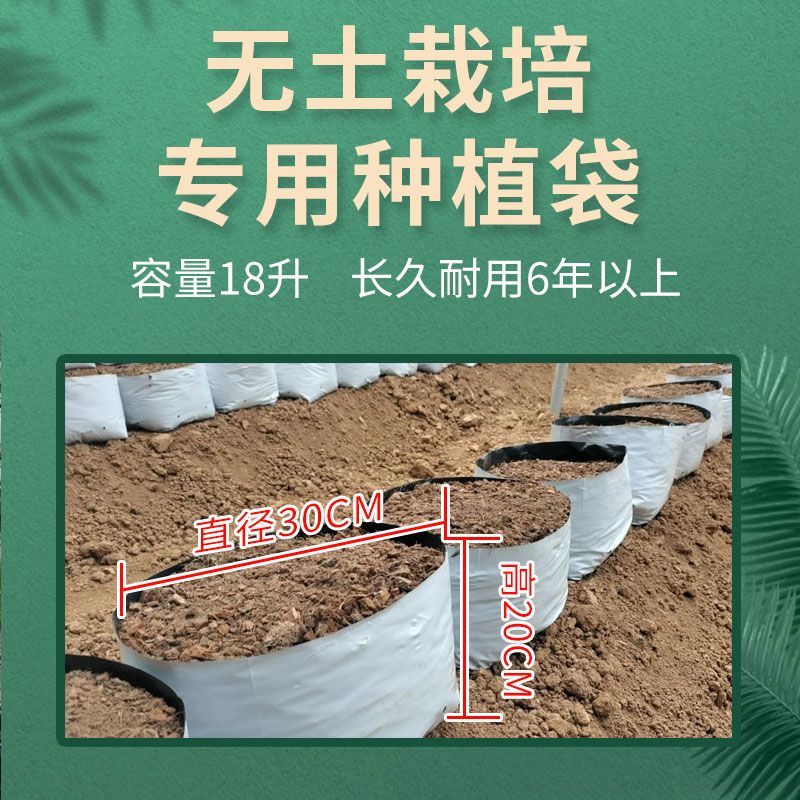 种植袋付老师团队无土栽培专用果蔬菜通用聚丙烯塑料种植袋