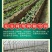 种植袋付老师团队无土栽培专用果蔬菜通用聚丙烯塑料种植袋