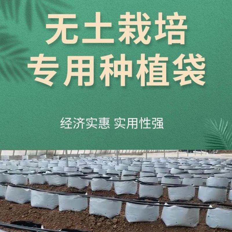 种植袋付老师团队无土栽培专用果蔬菜通用聚丙烯塑料种植袋
