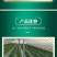 种植袋付老师团队无土栽培专用果蔬菜通用聚丙烯塑料种植袋