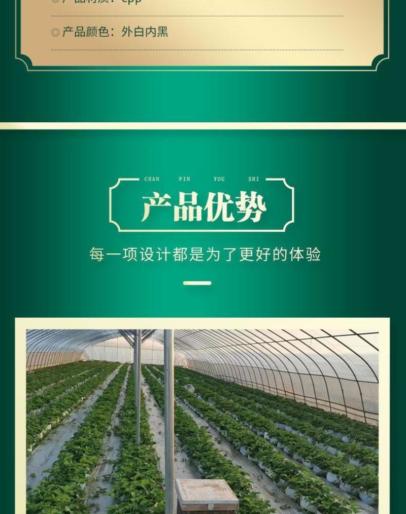 种植袋付老师团队无土栽培专用果蔬菜通用聚丙烯塑料种植袋