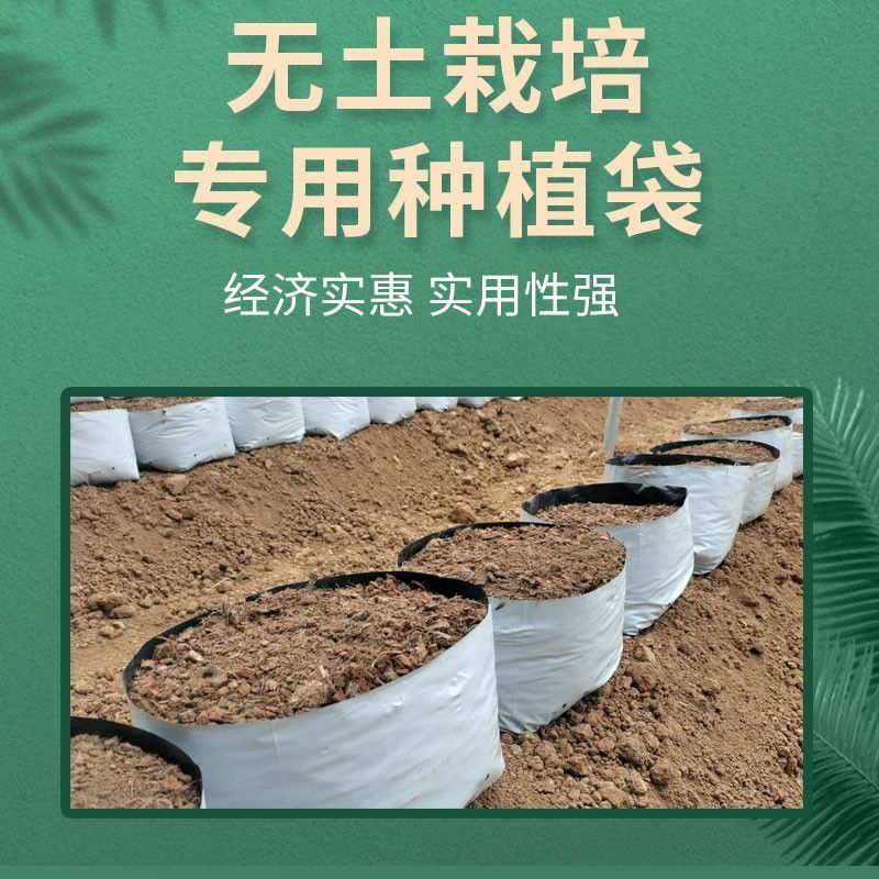 种植袋付老师团队无土栽培专用果蔬菜通用聚丙烯塑料种植袋