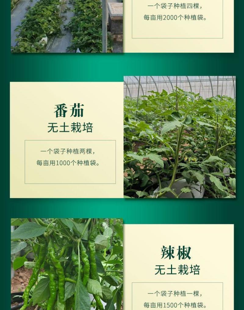 种植袋付老师团队无土栽培专用果蔬菜通用聚丙烯塑料种植袋