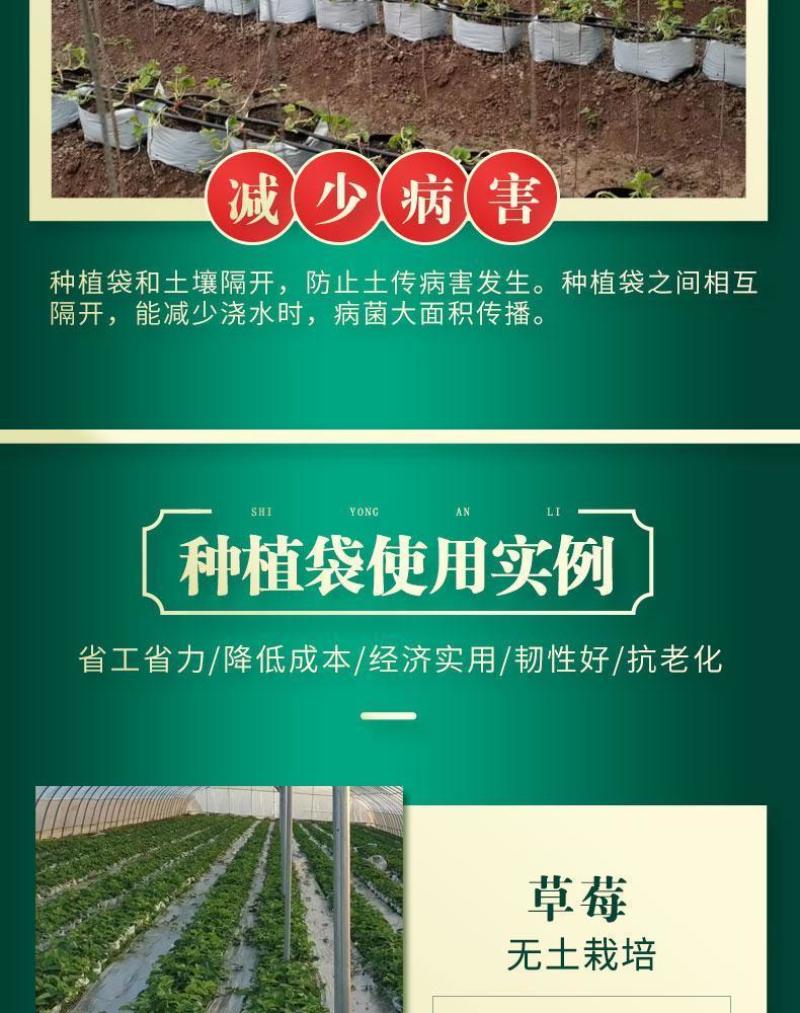 种植袋付老师团队无土栽培专用果蔬菜通用聚丙烯塑料种植袋