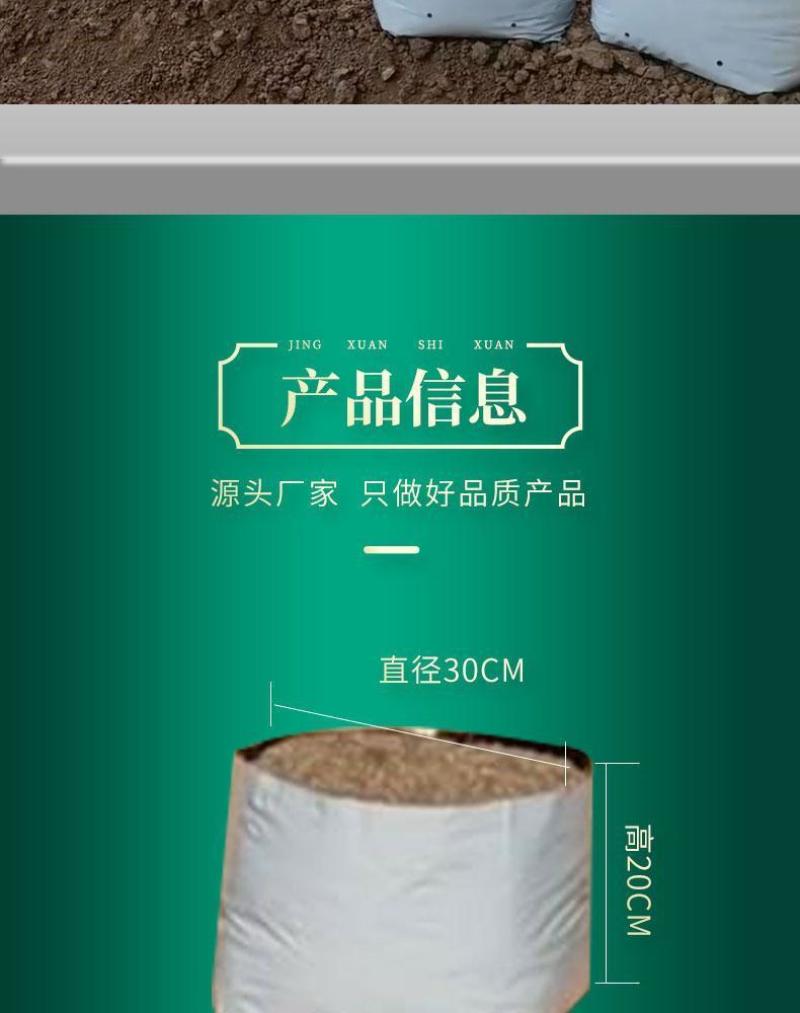 种植袋付老师团队无土栽培专用果蔬菜通用聚丙烯塑料种植袋