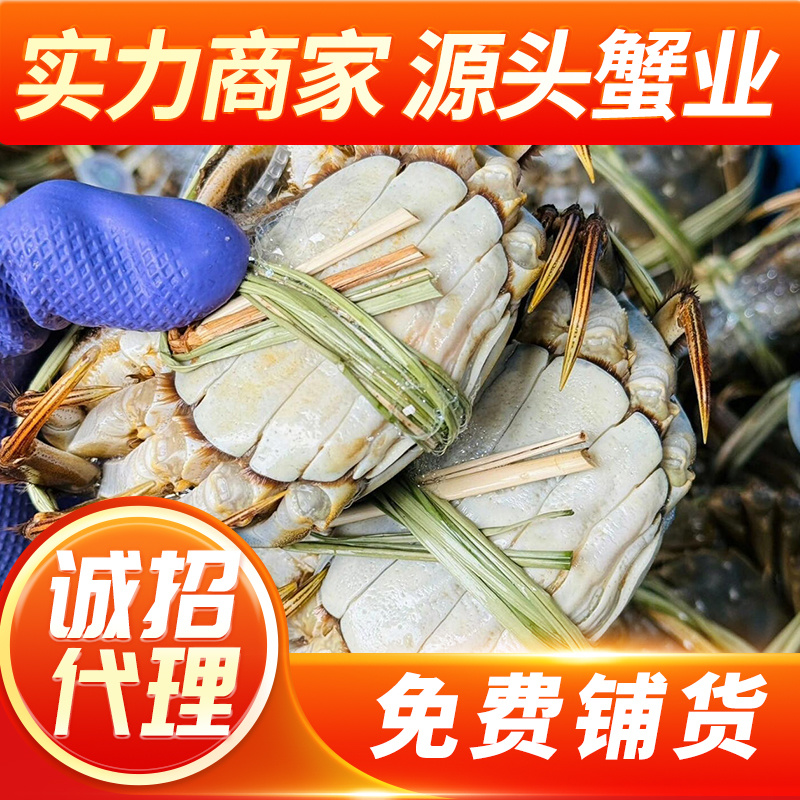 样品专属苏霸王阳澄湖大闸蟹25年新品上市批发团购一件代发