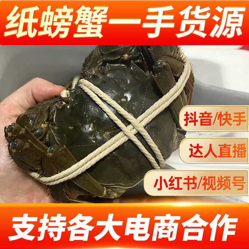 样品专属苏霸王阳澄湖大闸蟹25年新品上市批发团购一件代发