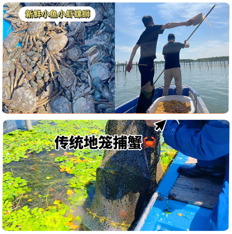 样品专属苏霸王阳澄湖大闸蟹25年新品上市批发团购一件代发