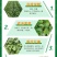 【推荐】精品烟薯苗红薯苗代发全国可视频看货品种保障欢迎