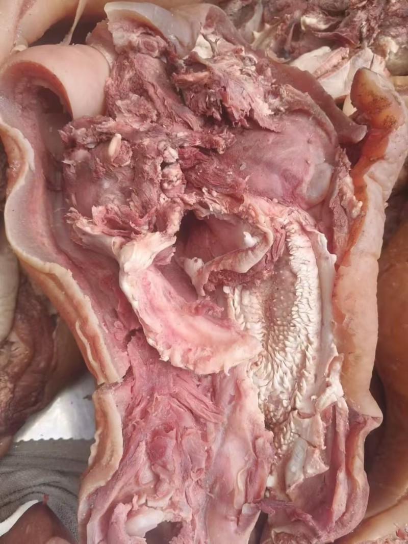 全熟牛头肉，精修去油去淋巴，现煮现发，一件也是批发价
