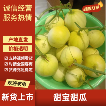 青岛莱西精品甜宝甜瓜，蜜宝甜瓜大量上市，产地直供大量供应