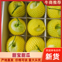 莱西甜宝甜瓜，蜜宝甜瓜专业代销代购，对接电商平台批发团购