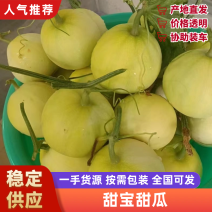 【大量供应】莱西精品甜宝甜瓜赶快预定天天新货