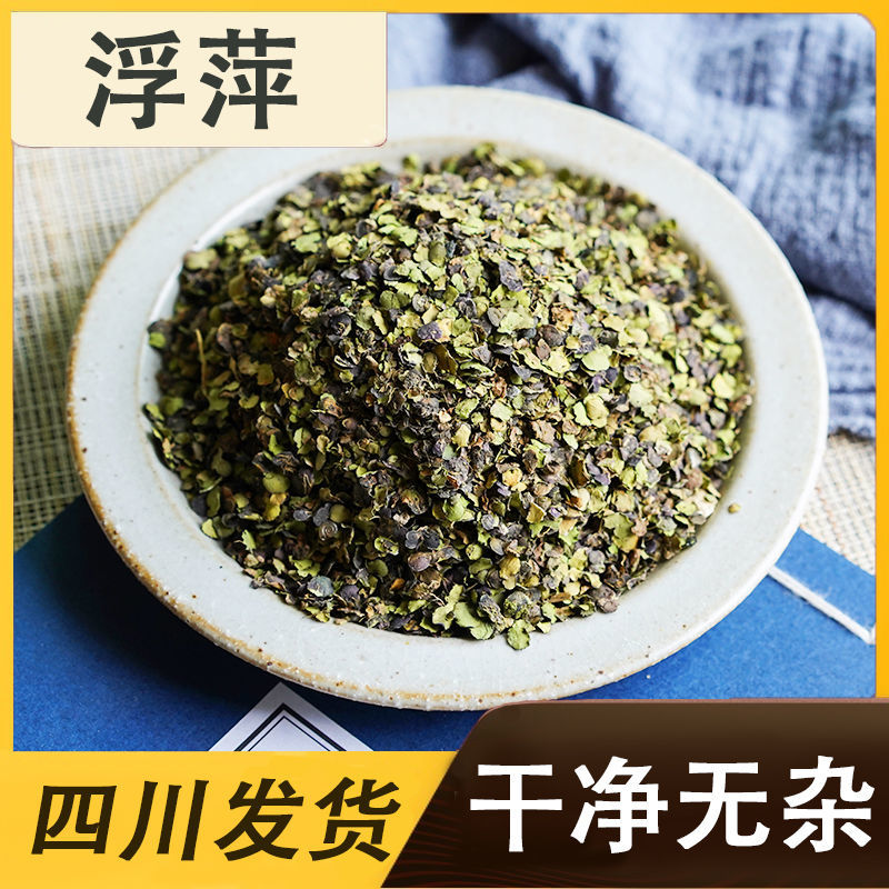 紫背浮萍中药材紫背浮萍茶泡水浮萍中药罐装浮萍一味药养生茶
