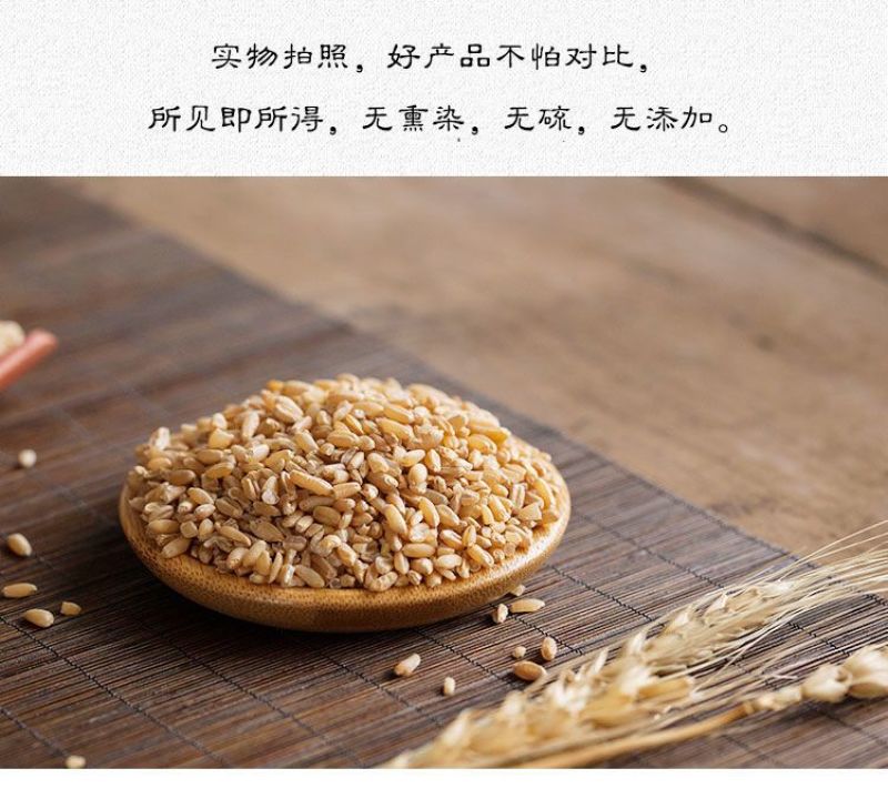 新货浮小麦中药材小麦茶正品浮麦茶500克包邮