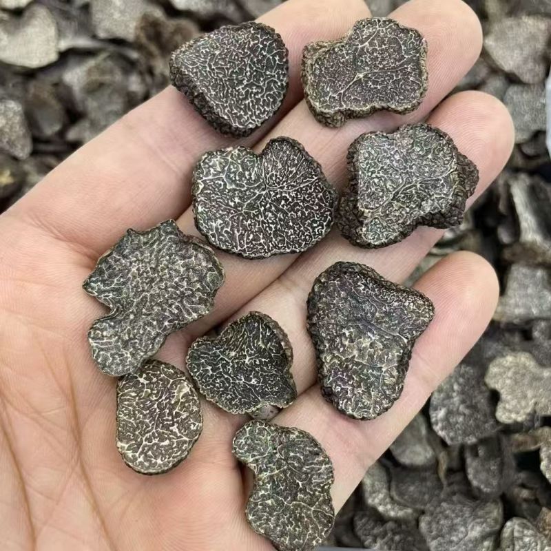 黑松露干片黑松露黑松露干片批发