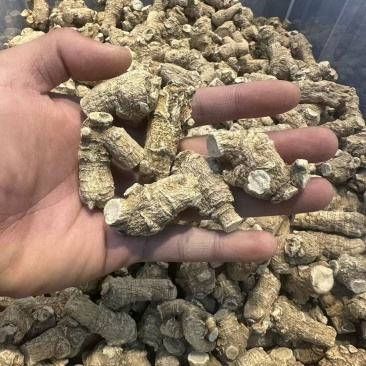 西洋参西洋参头西洋参整个批发