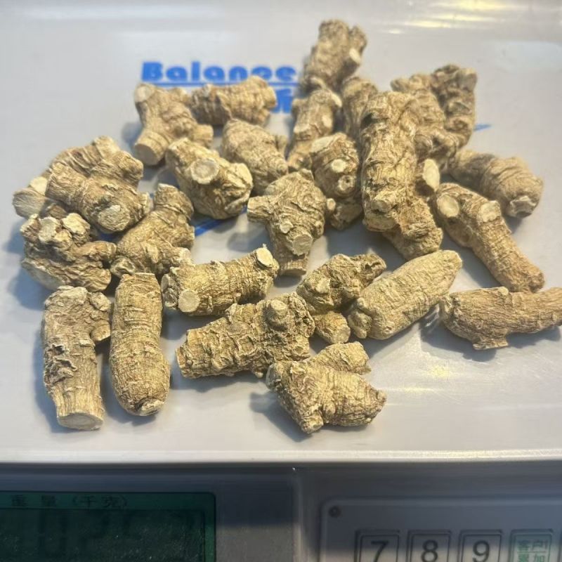 西洋参西洋参头西洋参整个批发