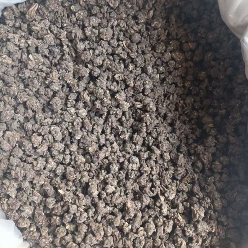 猫爪草猫爪草猫爪草猫爪草猫爪草猫爪草批发