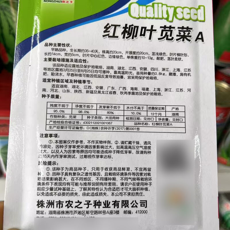 柳叶红苋菜种子尖叶红苋菜种子耐肥生长快耐老化