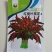 柳叶红苋菜种子尖叶红苋菜种子耐肥生长快耐老化
