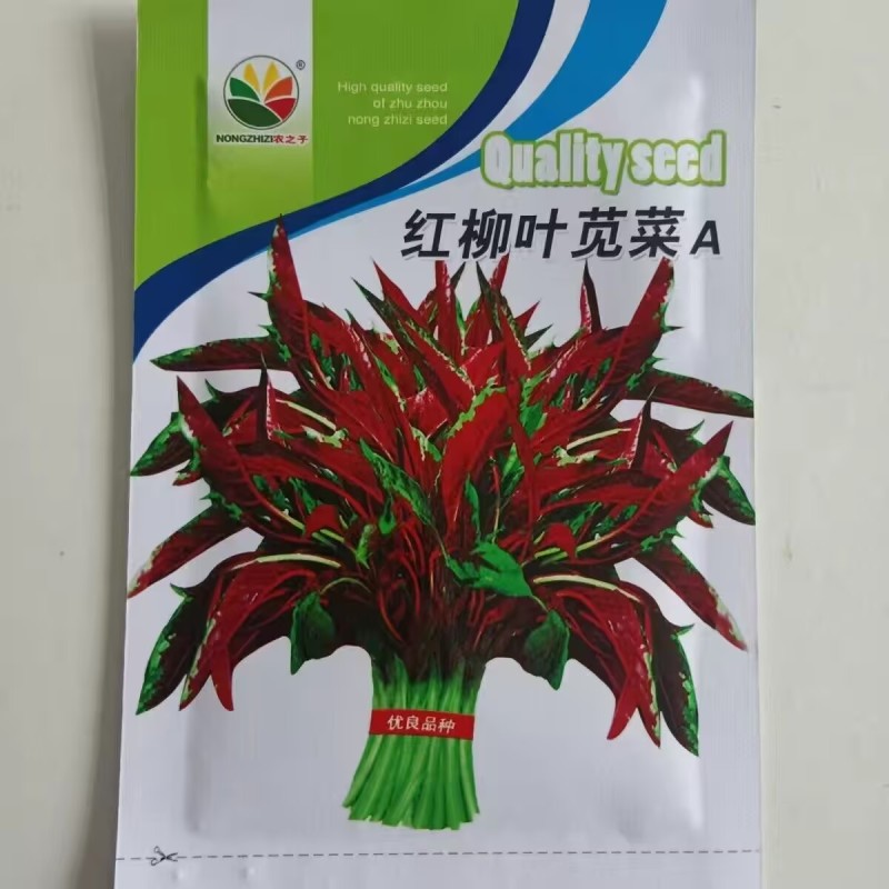 柳叶红苋菜种子尖叶红苋菜种子耐肥生长快耐老化