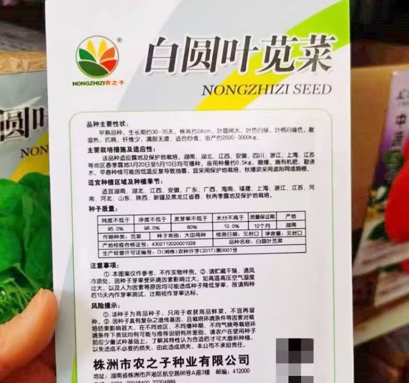 白圆苋菜种子青绿苋菜大叶圆叶苋菜耐湿热春夏秋蔬菜种子