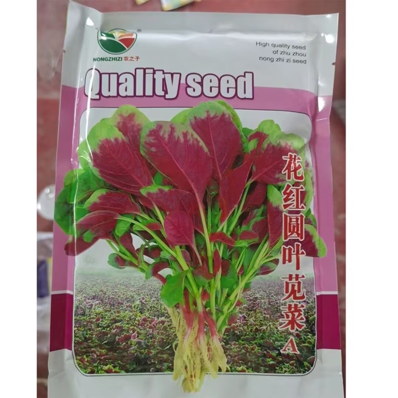 花红苋菜种子圆叶一点红苋菜籽春秋冬耐热耐寒四季播种蔬菜种