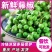 四川特产鲜藤椒特香特麻鲜花椒新鲜生花椒酉阳麻椒家用散装青