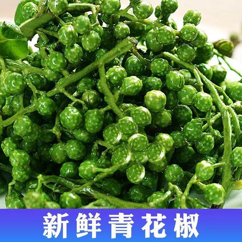 四川特产鲜藤椒特香特麻鲜花椒新鲜生花椒酉阳麻椒家用散装青