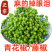 新鲜青花椒