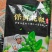新鲜青花椒