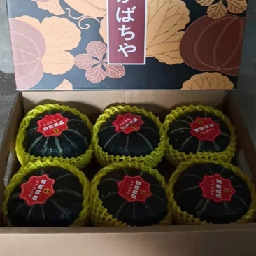 精品贝贝专业礼盒，团购一件代发加工节日礼盒，各种规格