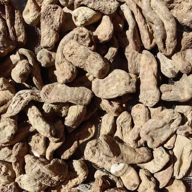 乌天麻天麻云南昭通小草坝天麻批发