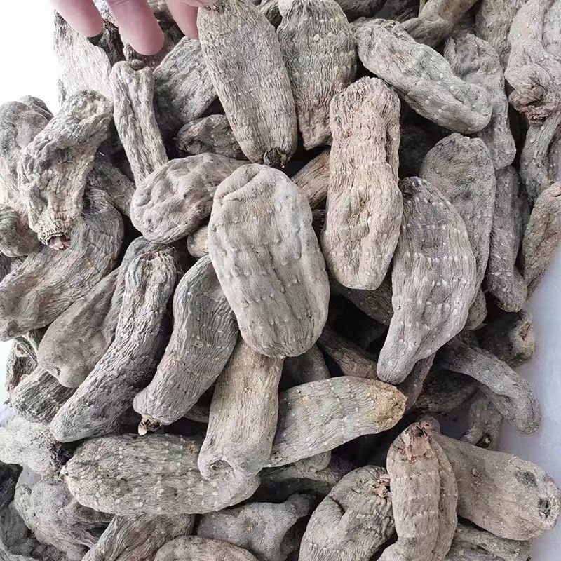 乌天麻天麻云南昭通小草坝天麻批发