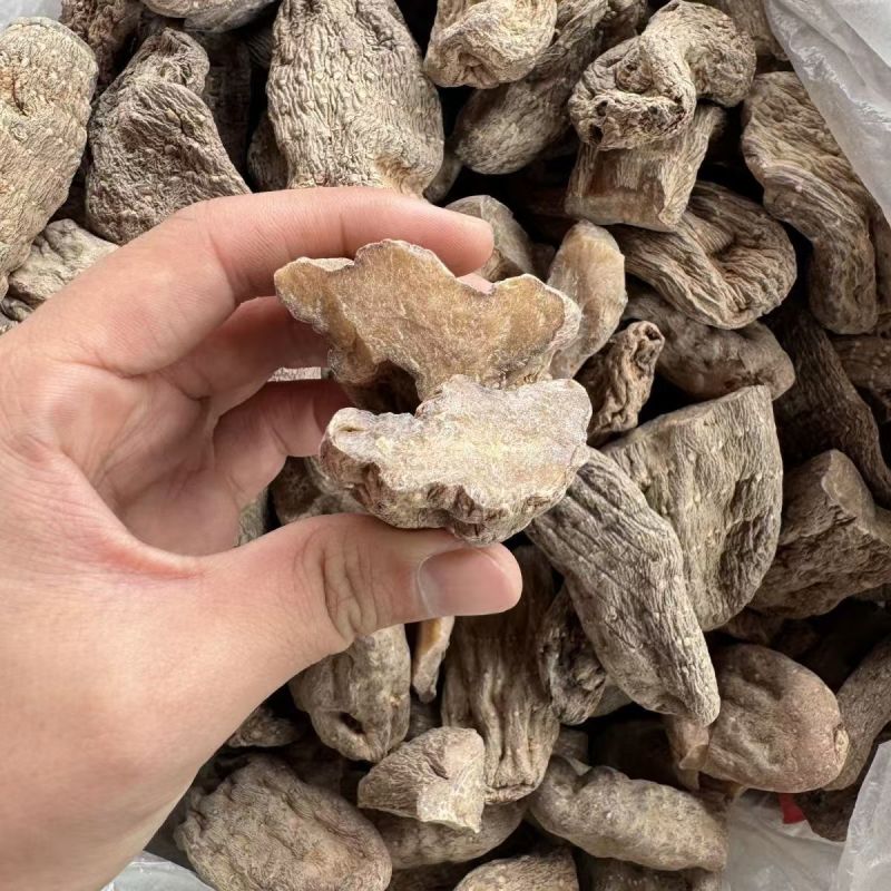 乌天麻天麻云南昭通小草坝天麻批发