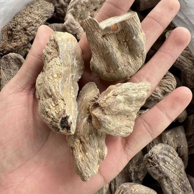 乌天麻天麻云南昭通小草坝天麻批发