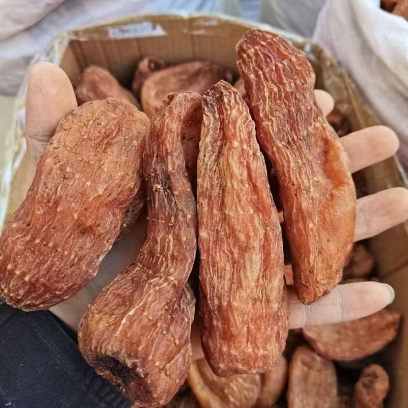 龙血天麻红天麻云南丽江红天麻赤箭天麻批发