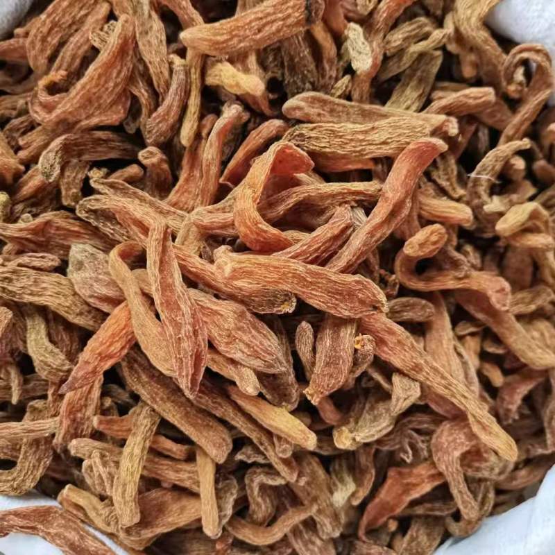 龙血天麻红天麻云南丽江红天麻赤箭天麻批发